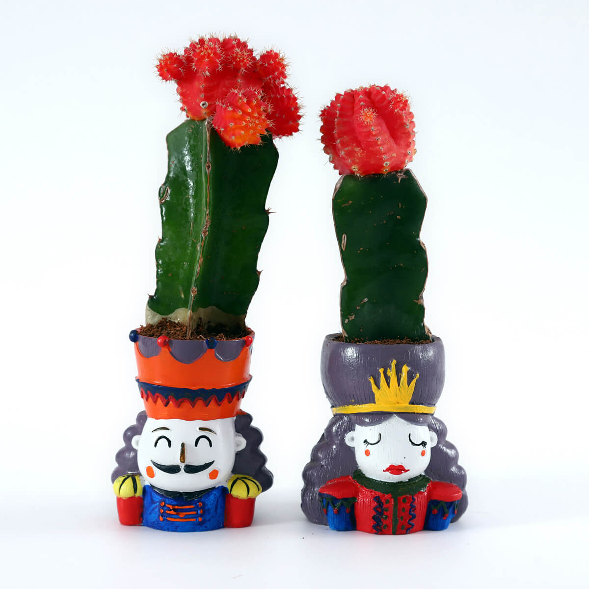 Royal Love Moon Cactus – King & Queen Decorative Planter Set