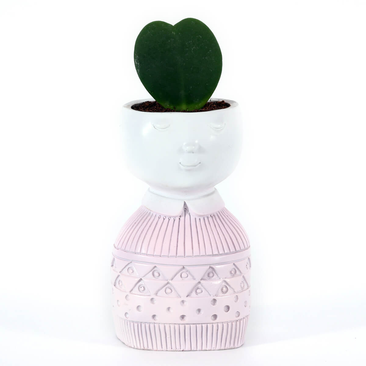 Heart Hoya Plant in Elegant Girl Face Decorative Planter