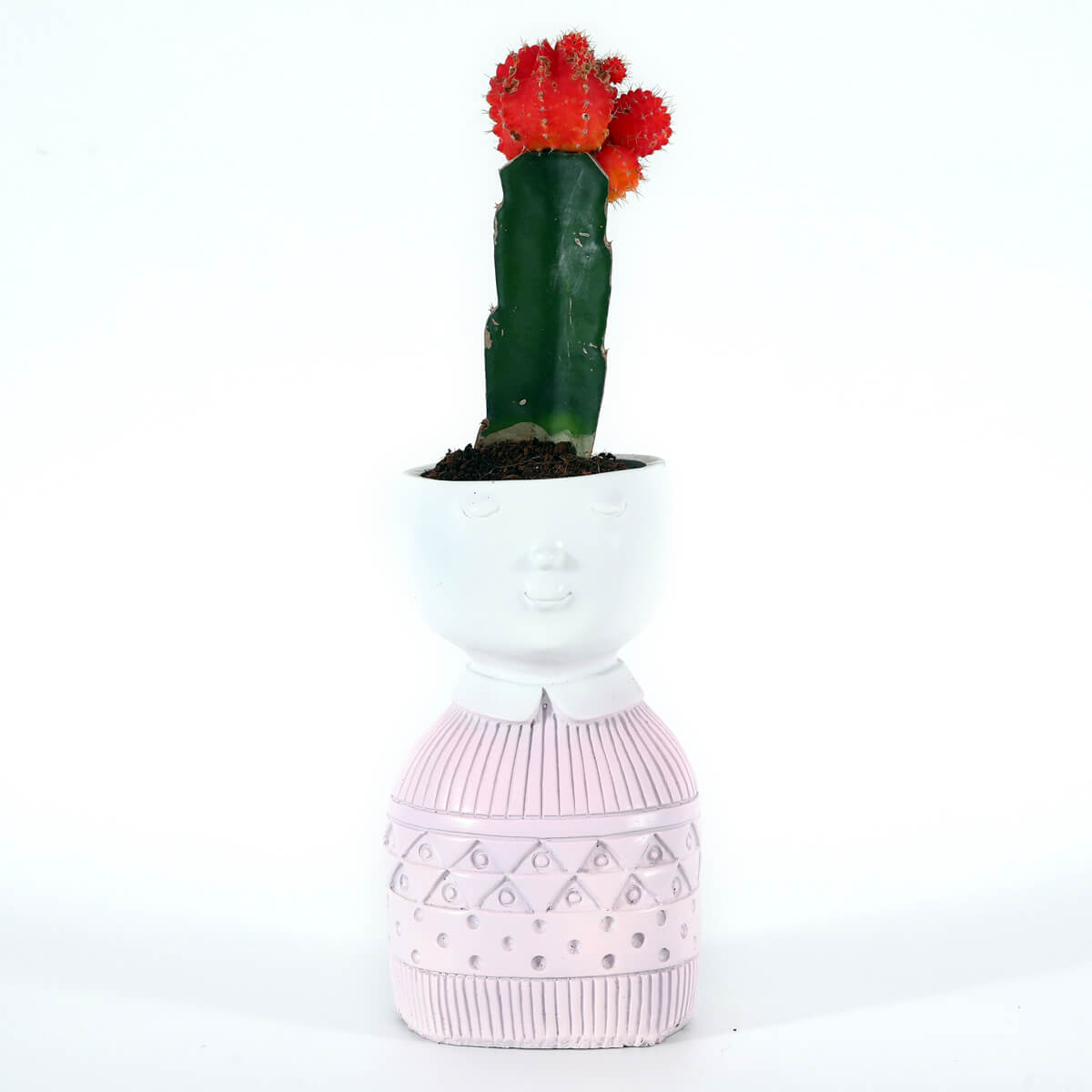 Red Moon Cactus in Elegant Girl Face Decorative Planter